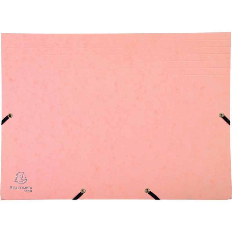 Trieur à soufflet AQUAREL en carte lustrée, 12 compartiments, coloris