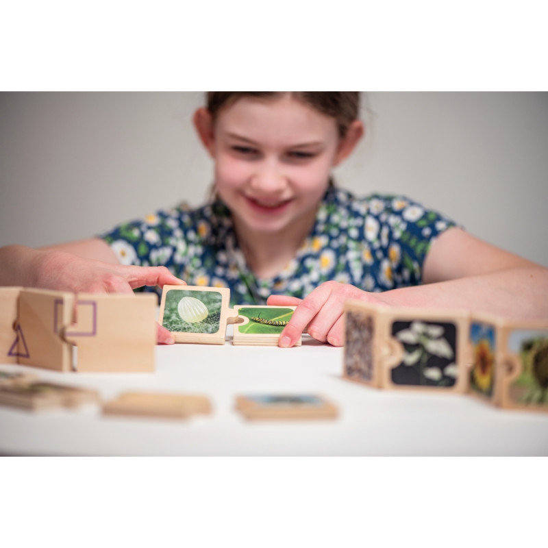 Boite de 6 puzzles en bois, cycles de vie