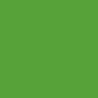 Surligneur Boss vert