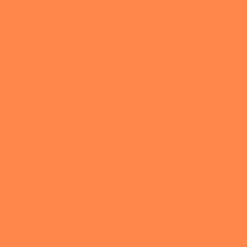 Surligneur Boss orange