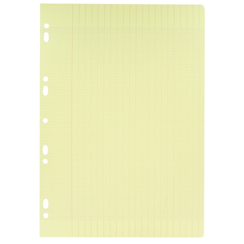 Feuillets mobiles 100 pages 80g, format A4, seyès jaune