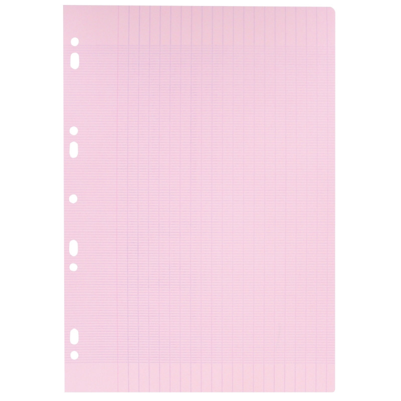 Feuillets mobiles 100 pages 80g, format A4, seyès rose