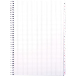 Répertoire à reliure intégrale 180 pages, format A4, quadrillé 5x5, pa