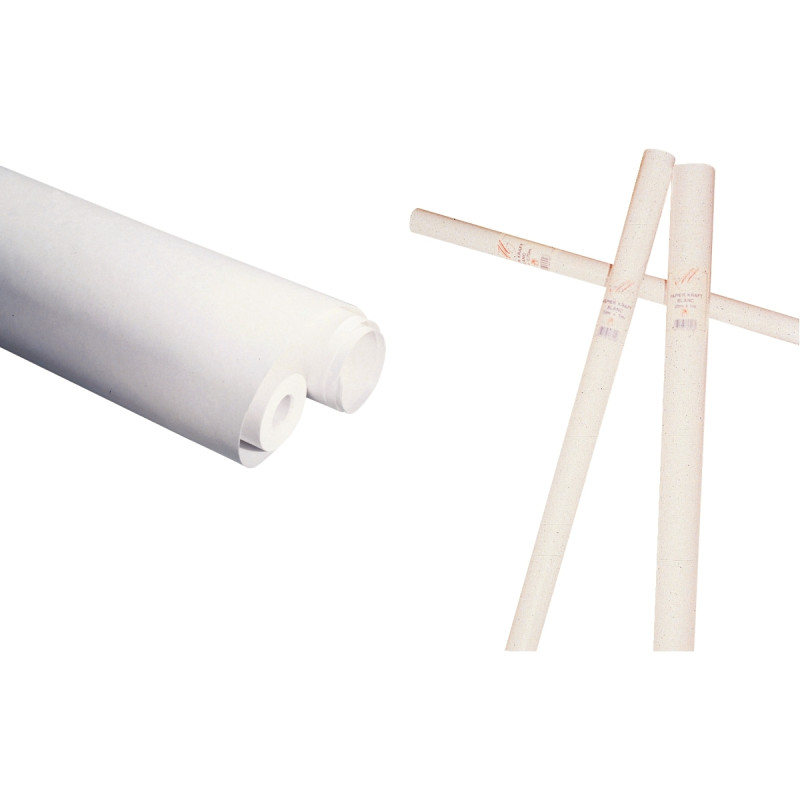 Rouleau de papier kraft 60g 10x1m blanc
