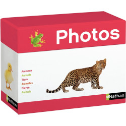 Imagier photos, les animaux