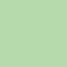 Ramette de 500 feuilles format A4 vert CLAIREFONTAINE