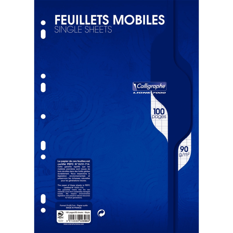 Feuillets mobiles 100 pages 90g, format A4, seyès blanc