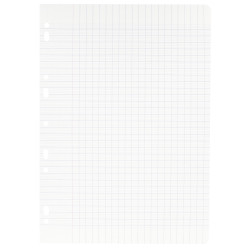 Feuillets mobiles 100 pages 90g, format A4, seyès blanc