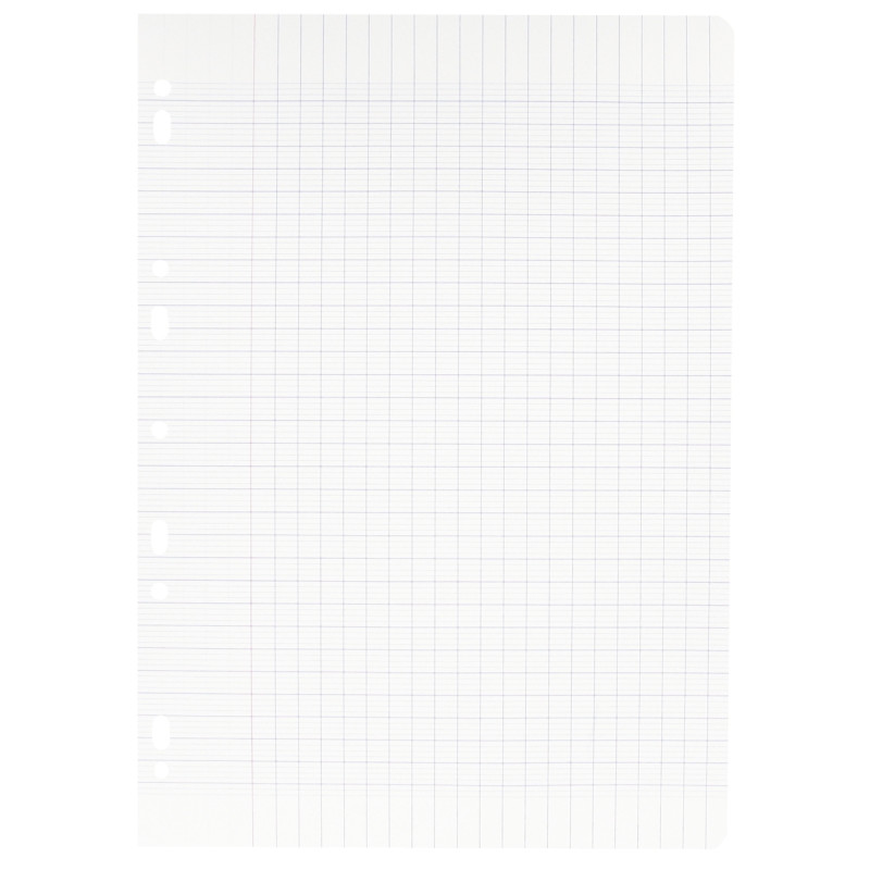 Feuillets mobiles 100 pages 90g, format A4, seyès blanc