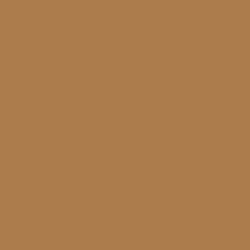 Lot de 6 rouleaux adhésifs en polypropylène acrylique havane 100mx50mm