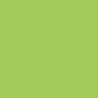 Protège-documents COLOR FRESH 40 vues, vert clair