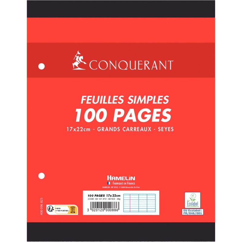 Feuillets mobiles 100 pages 90g, format 17x22 cm, seyès blanc