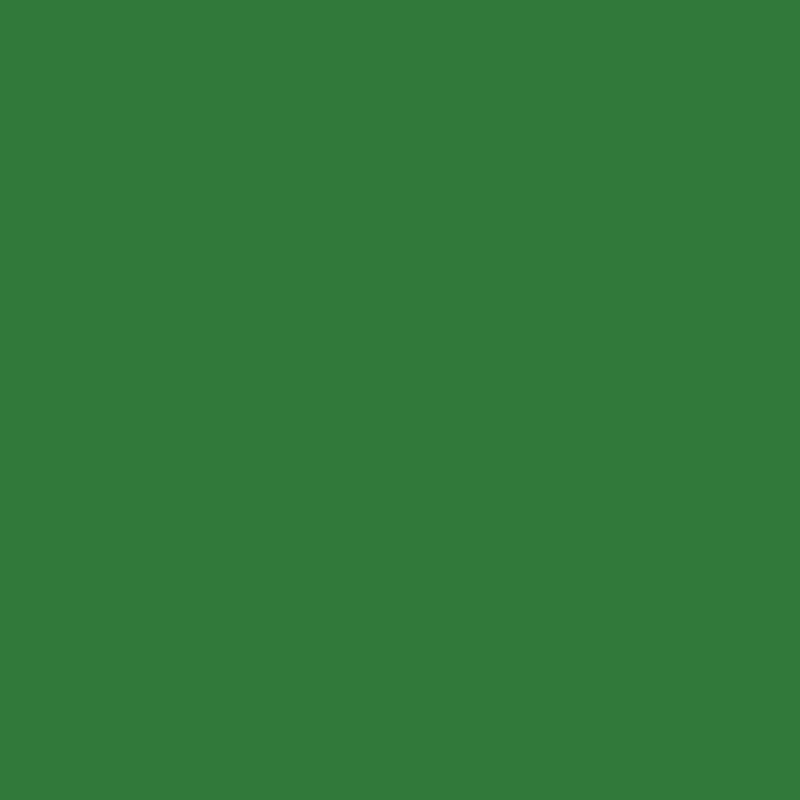 Crayon de couleur Woody vert foncé