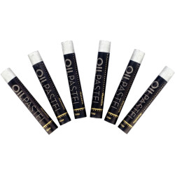 Boîte de 6 pastels huile argent 11mm