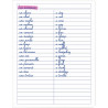Carnet de vocabulaire 96 pages CONQUERANT couverture PP, 17x22 cm