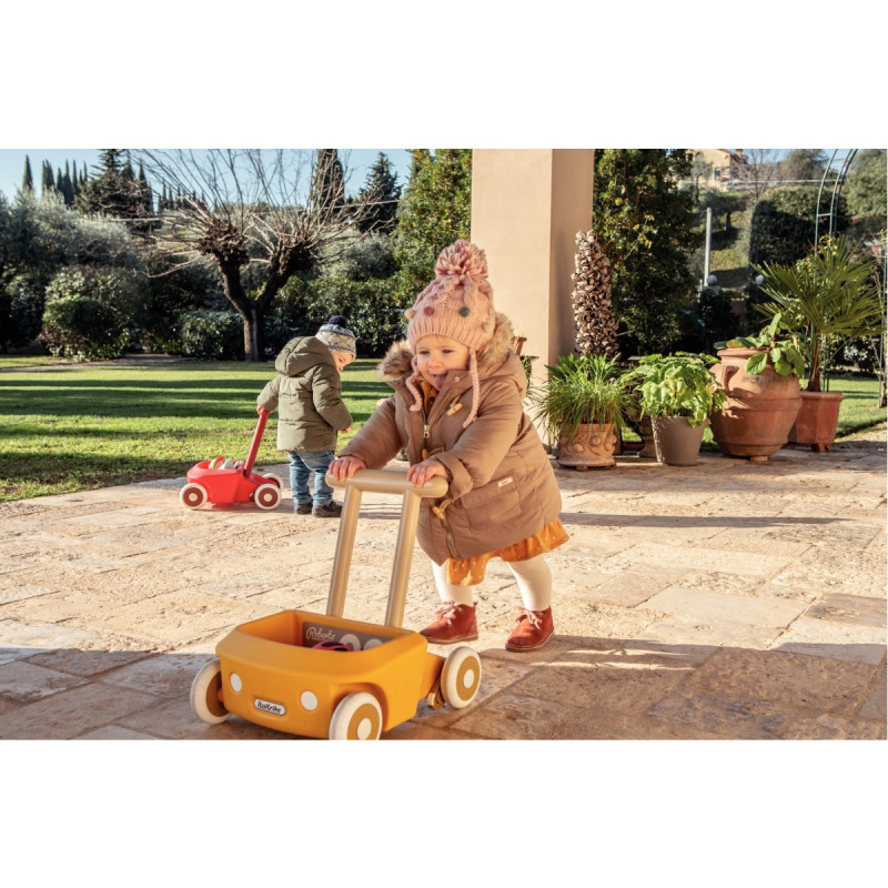 Chariot de marche ROBERTO