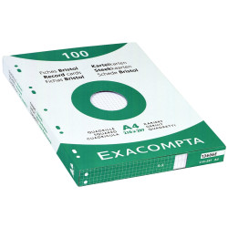Etui de 100 fiches bristol perforées carte forte 205 g blanc quadrillé