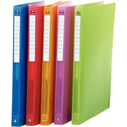 Classeur 4 anneaux en polypropylène COLOR FRESH, format A4, dos 2 cm,