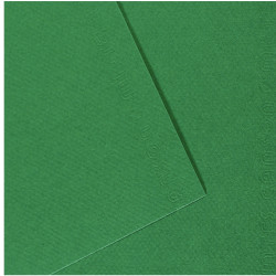 Paquet de 10 feuilles mi-teinte format 50x65cm vert billard