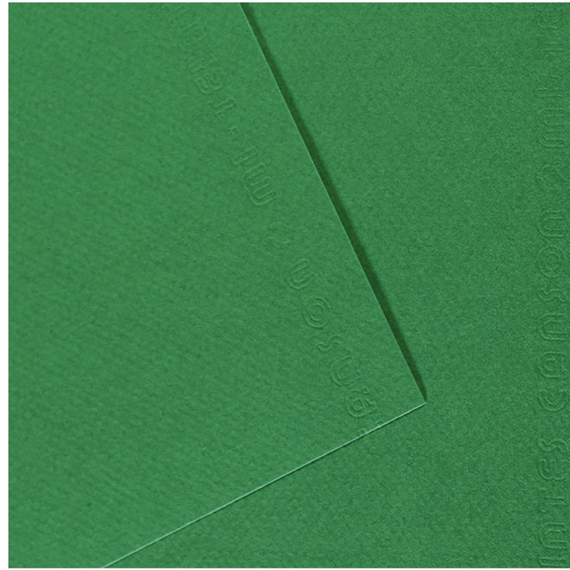Paquet de 10 feuilles mi-teinte format 50x65cm vert billard