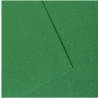 Paquet de 10 feuilles mi-teinte format 50x65cm vert billard