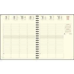 Agenda semainier Swan 18.5x22cm gris