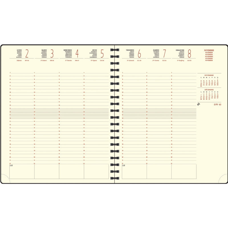 Agenda semainier Swan 18.5x22cm gris
