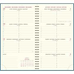 Agenda semainier Swan 9x16cm ble canard