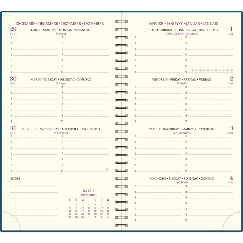 Agenda semainier Swan 9x16cm ble canard
