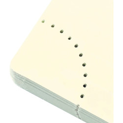 Agenda semainier Swan 9x16cm ble canard
