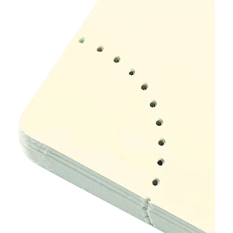 Agenda semainier Swan 9x16cm ble canard