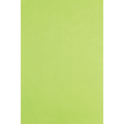 Paquet de 480 feuilles de papier de soie 75x50cm vertes