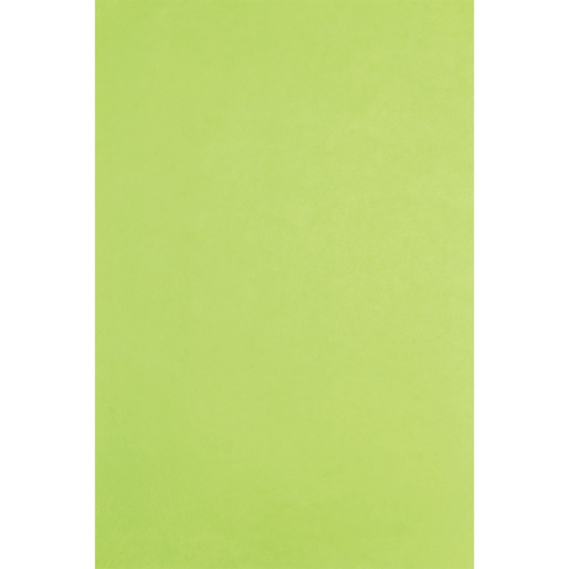Paquet de 480 feuilles de papier de soie 75x50cm vertes