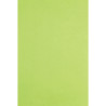 Paquet de 480 feuilles de papier de soie 75x50cm vertes