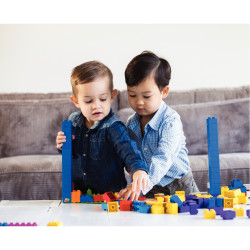 Carton de 500 briques de construction BIOBUDDI BIG