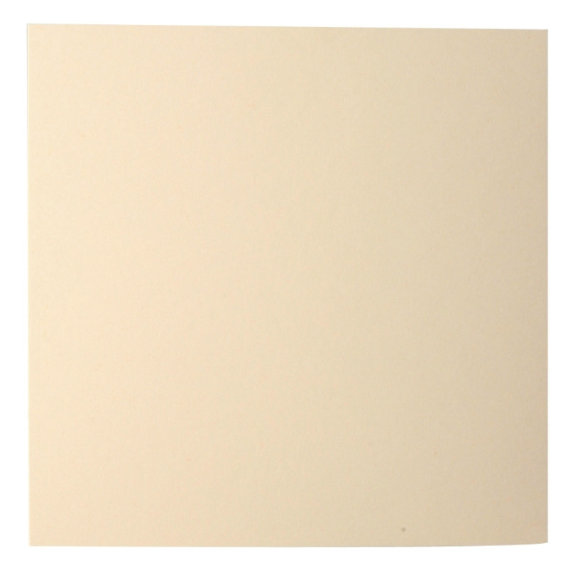 Paquet de 25 cartes Pollen 135x135mm 210g ivoire