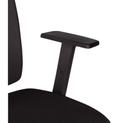 Paire d'accoudoirs Holde 2D noir