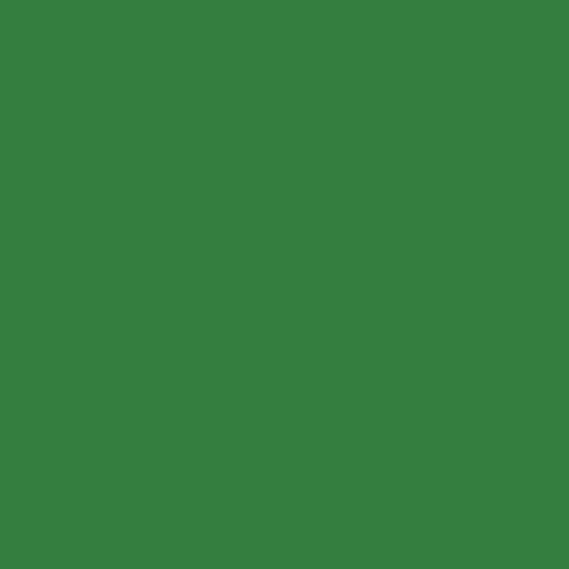 Étui de 12 crayons de couleur Colour vert foncé