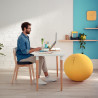 Coussin de siège Leitz Ergo