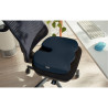 Coussin de siège Leitz Ergo