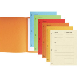 Paquet de 25 chemises de plaidoirie 265g, coloris assortis