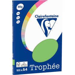 Pochette de 100 feuilles format A4 80g vert CLAIREFONTAINE