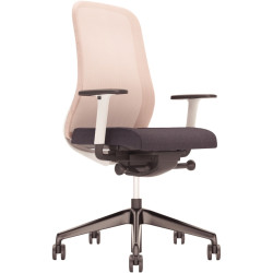 Paire d'accoudoirs 2D pour siège Lynn Mesh