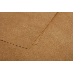 Paquet de 25 cartes Pollen 110x155mm 200g kraft
