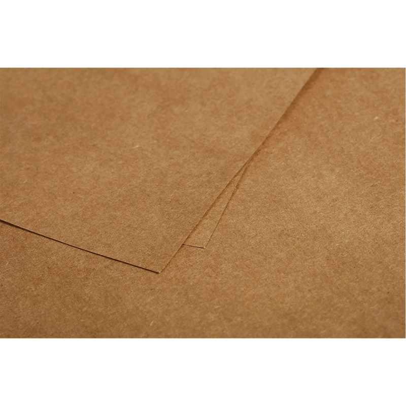 Paquet de 25 cartes Pollen 110x155mm 200g kraft