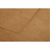 Paquet de 25 cartes Pollen 110x155mm 200g kraft