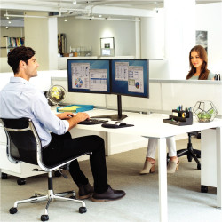 Bras double écrans horizontal sur socle Professional Series