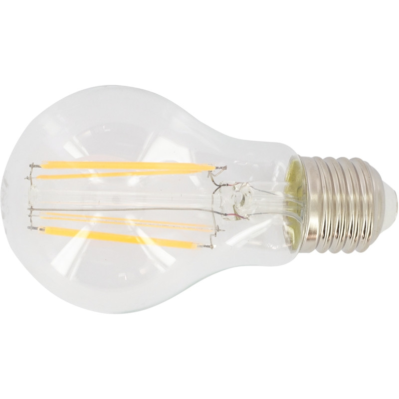 Ampoule LED standard E27 6 watts