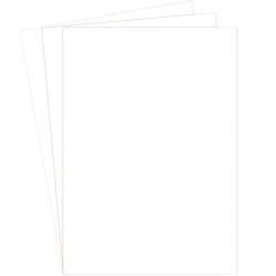 Paquet de 100 couvertures grain cuir Delta 250g A4 blanc