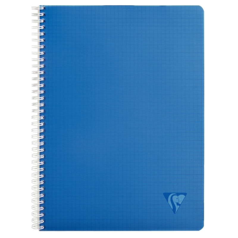 Cahier à reliure intégrale 100 pages LINICOLOR INTENSIVE, format A4, q